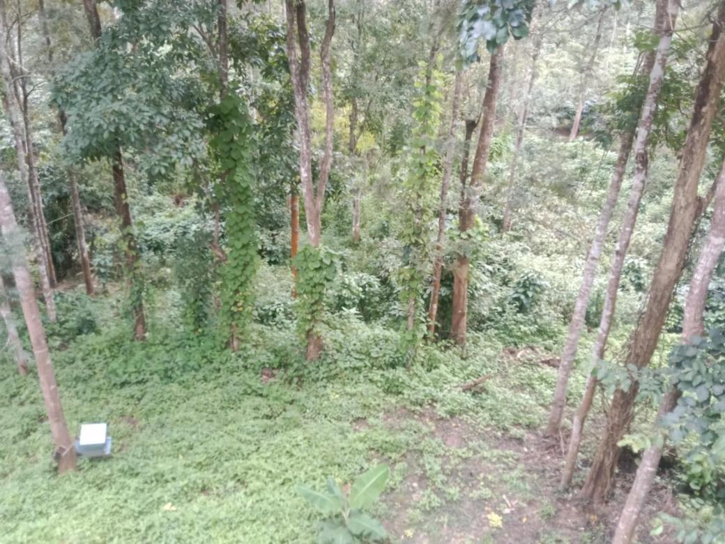 Elephant Path Coorg 3Bhk Villa Suntikoppa Esterno foto